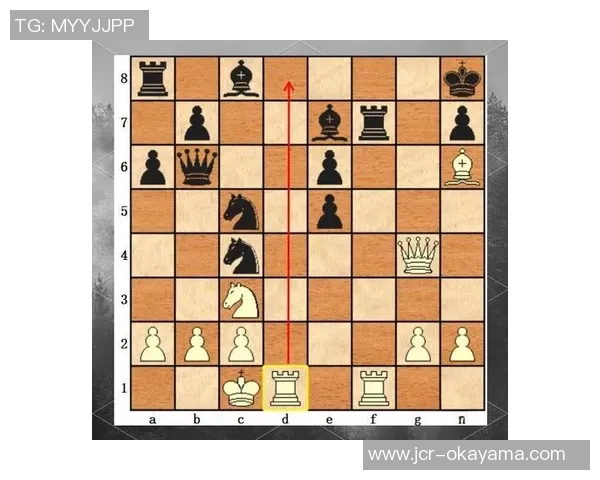 武汉羽毛球队独特节奏打法深度解析与战术优势探讨